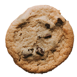 Chocolate chip cookie