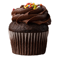 Chocolate cupcake with chocolate frosting