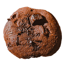 Double chocolate cookie